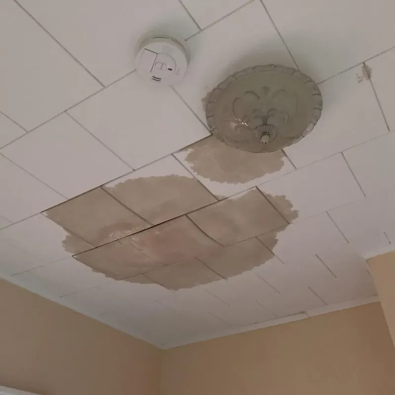 Ceiling Water Damage Repair in Teague, TX