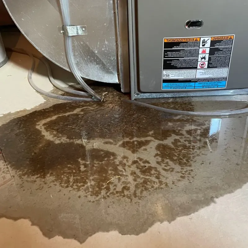 Pipe Burst and Leak Restoration in Teague, TX