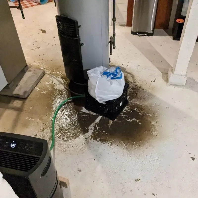 Sewage Backup Cleanup Service in Teague, TX